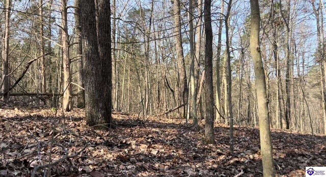 62.3 Acres of Recreational Land & Farm for Sale in Campbellsville, Kentucky