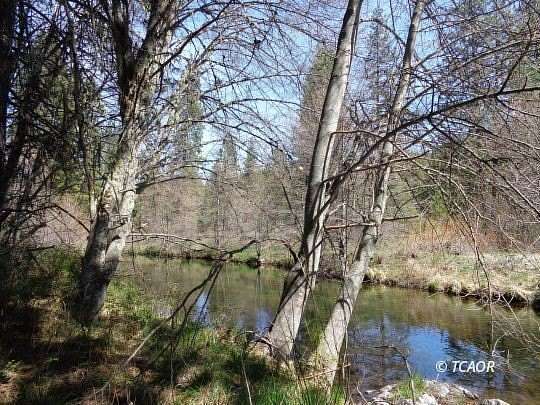 2.16 Acres of Land for Sale in Wildwood, California