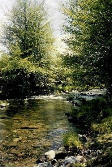 2.16 Acres of Land for Sale in Wildwood, California