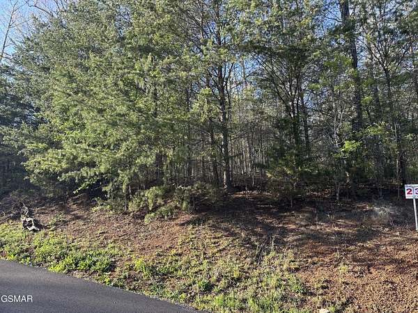 0.46 Acres of Residential Land for Sale in Newport, Tennessee