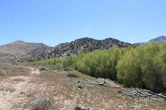19.6 Acres of Land for Sale in Weldon, California