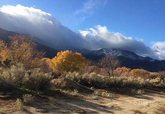 19.6 Acres of Land for Sale in Weldon, California