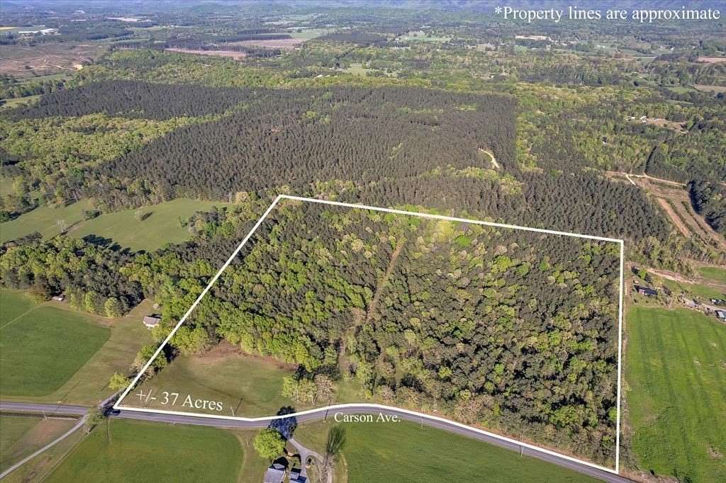 37 Acres of Land for Sale in Crandall, Georgia