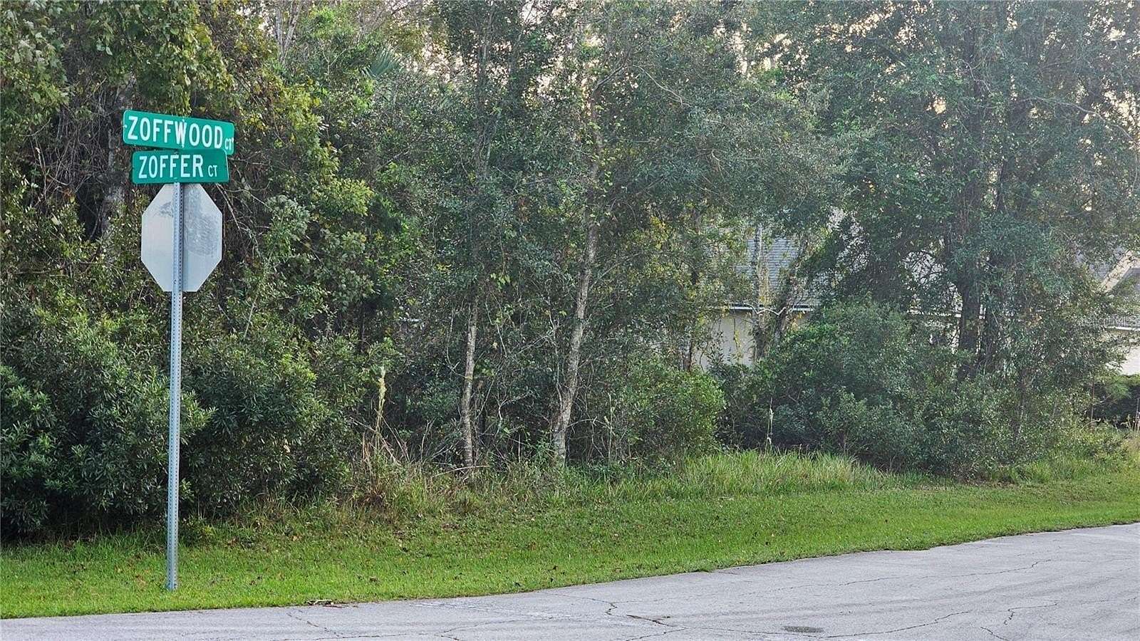 0.28 Acres of Land for Sale in Palm Coast, Florida