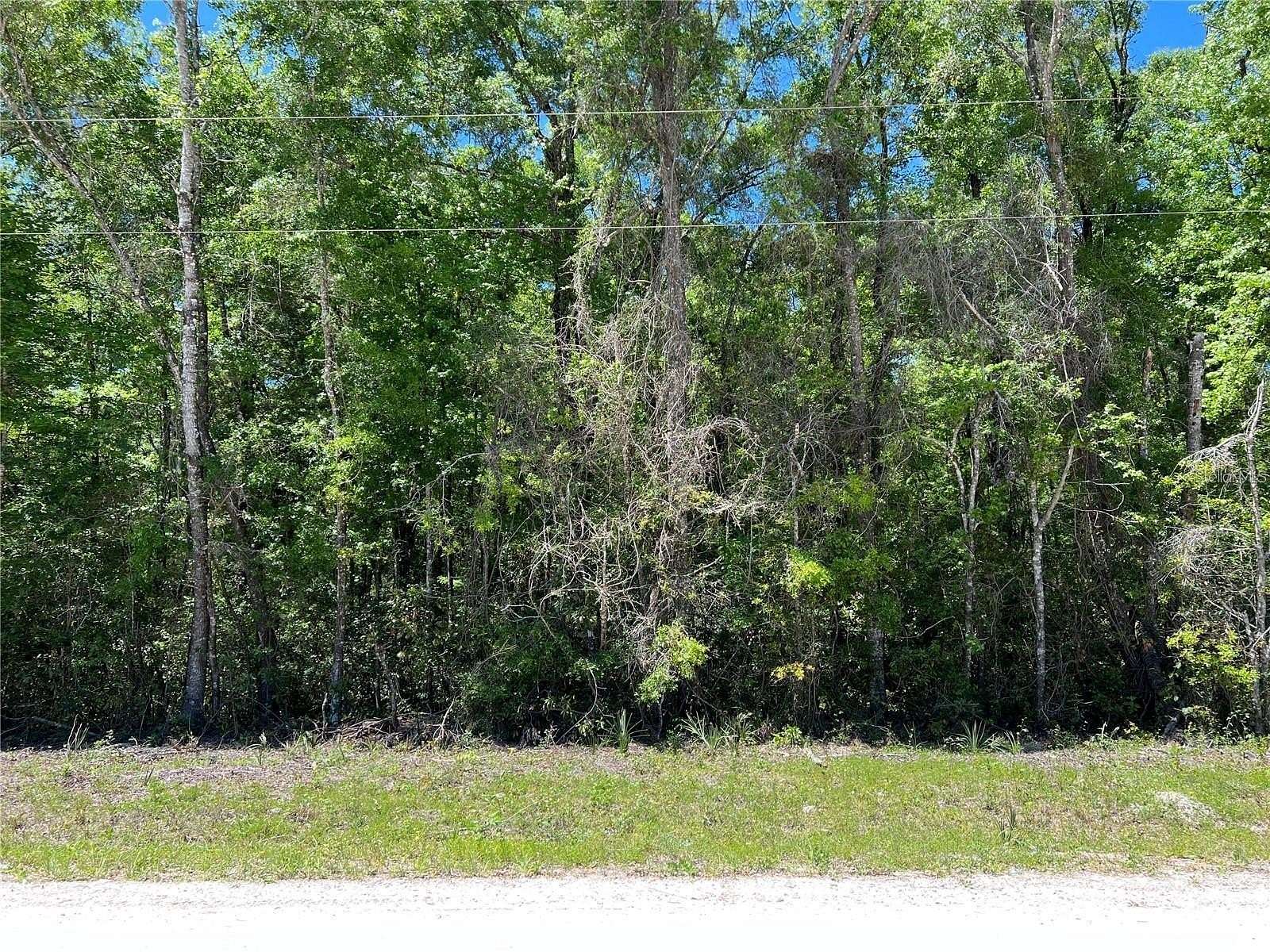 2.47 Acres of Residential Land for Sale in Old Town, Florida