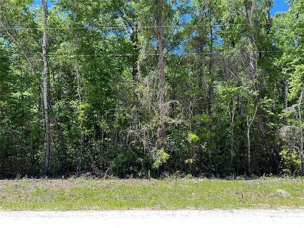 2.47 Acres of Residential Land for Sale in Old Town, Florida