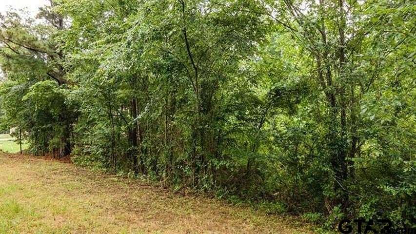 0.5 Acres of Land for Sale in Frankston, Texas