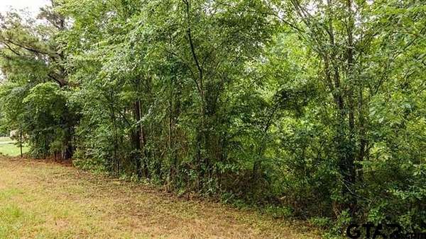 0.5 Acres of Land for Sale in Frankston, Texas