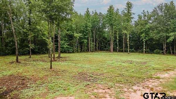 0.43 Acres of Land for Sale in Frankston, Texas