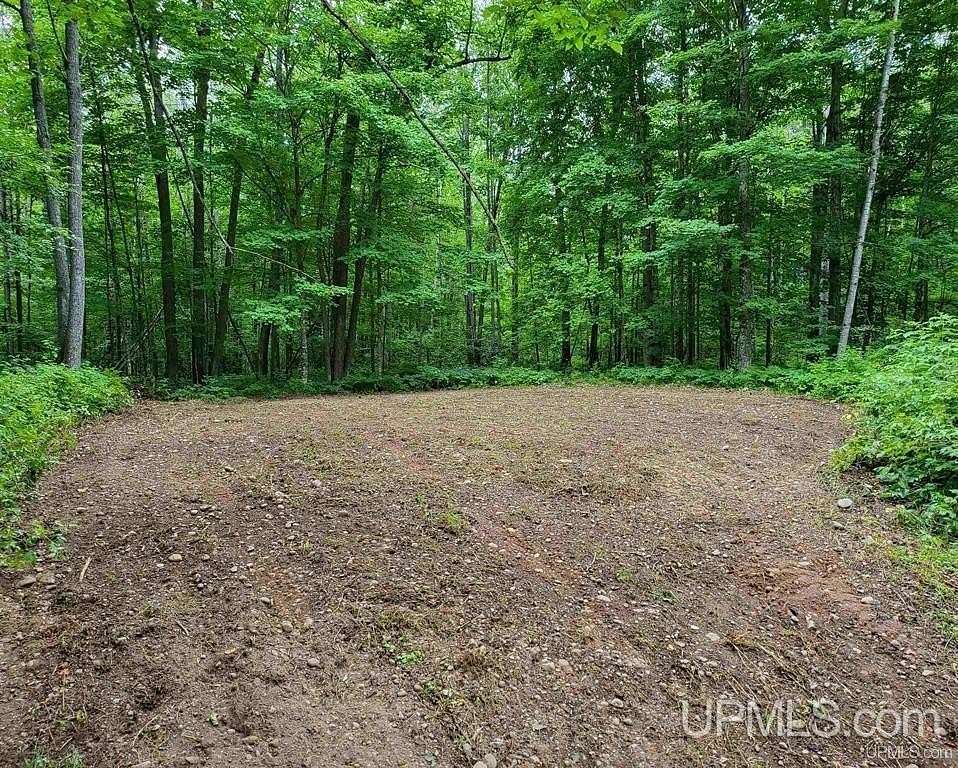 5 Acres of Land for Sale in Tipler, Wisconsin