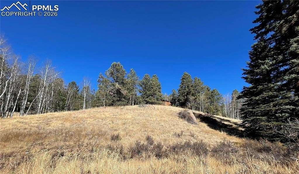 0.51 Acres of Land for Sale in Florissant, Colorado