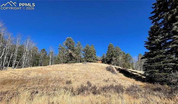 0.51 Acres of Land for Sale in Florissant, Colorado