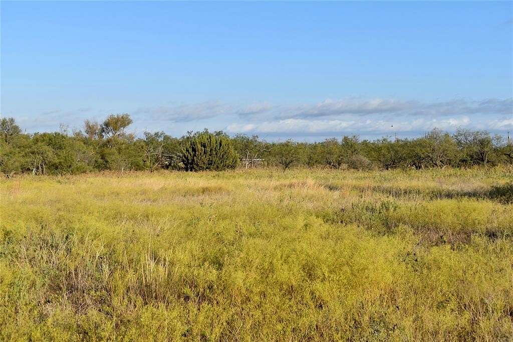 10.3 Acres of Recreational Land for Sale in Rochelle, Texas