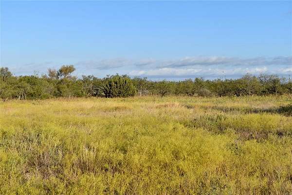 10.3 Acres of Recreational Land for Sale in Rochelle, Texas