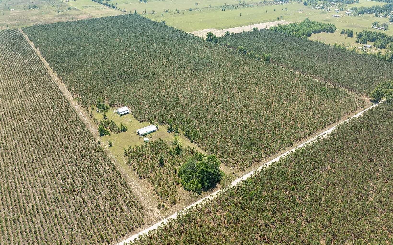 70 Acres of Recreational Land with Home for Sale in Live Oak, Florida