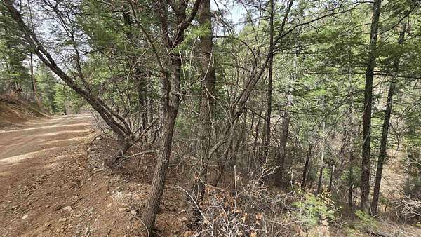 0.49 Acres of Residential Land for Sale in High Rolls, New Mexico