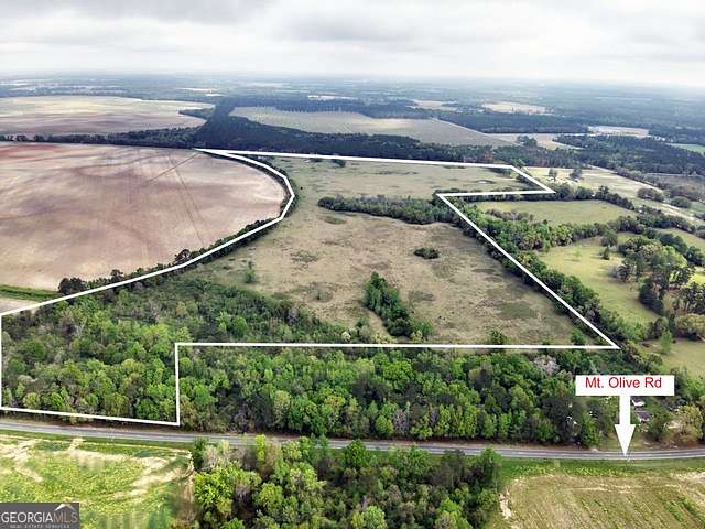 100 Acres of Agricultural Land for Sale in Pelham, Georgia