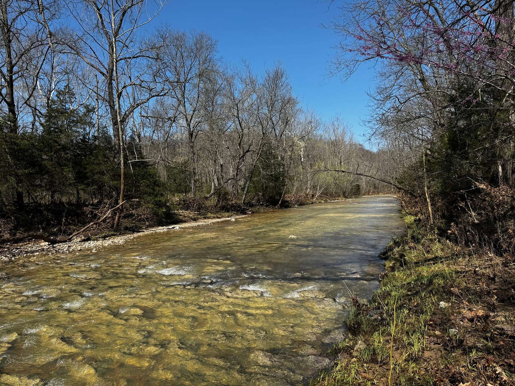170 Acres of Recreational Land & Farm for Sale in Iberia, Missouri