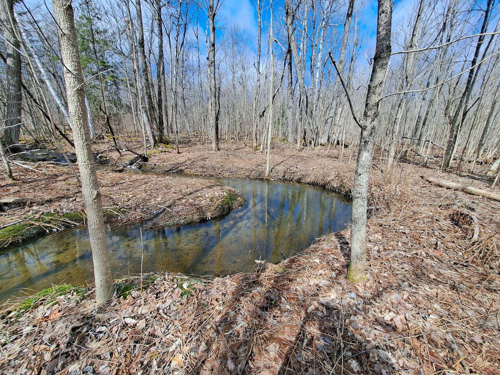 167 Acres of Recreational Land & Farm for Sale in Ellenburg Depot, New York