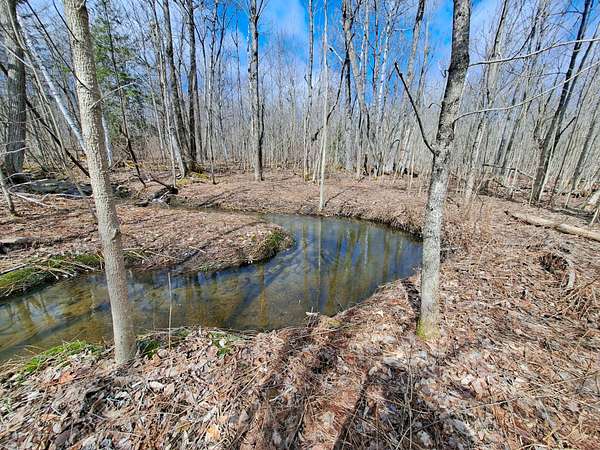 167 Acres of Recreational Land & Farm for Sale in Ellenburg Depot, New York