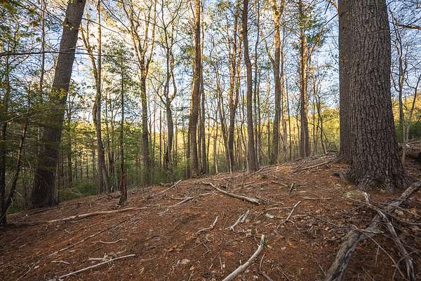 2.12 Acres of Residential Land for Sale in Roanoke, Virginia