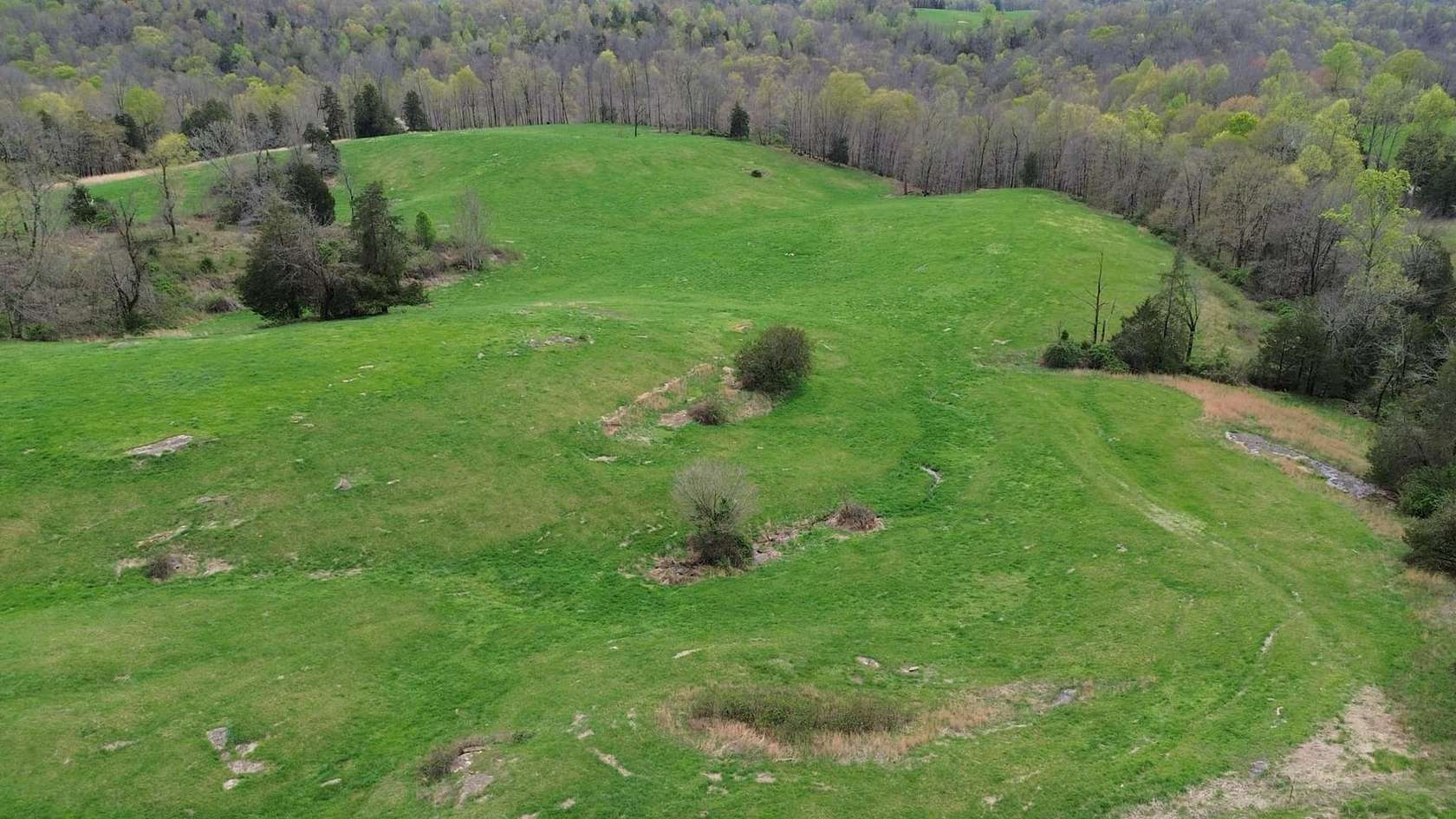62.5 Acres of Land for Sale in Albany, Kentucky