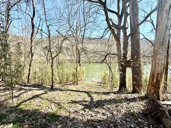 1 Acre of Residential Land for Sale in Mountain View, Arkansas