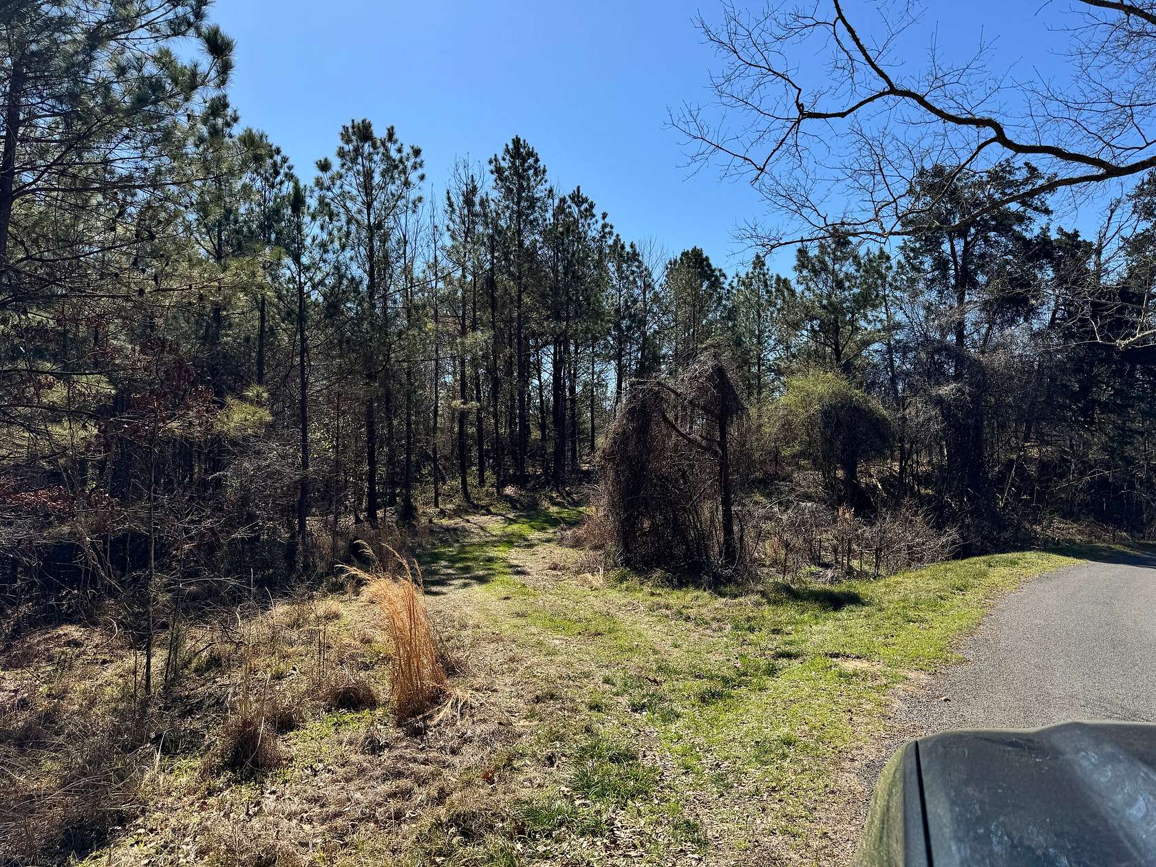 600 Acres of Land for Sale in Hermanville, Mississippi
