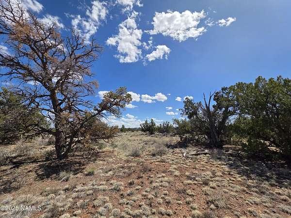 10 Acres of Recreational Land for Sale in Williams, Arizona