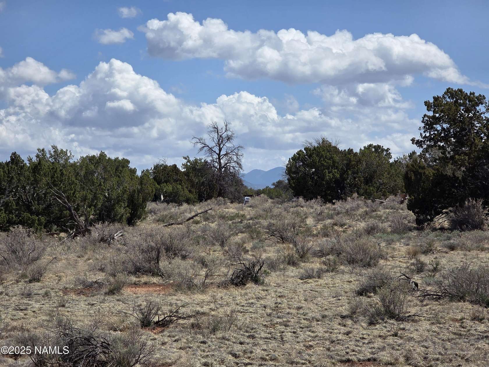 10 Acres of Land for Sale in Williams, Arizona