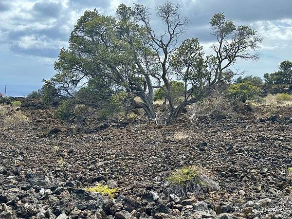 3 Acres of Residential Land for Sale in Hawaiian Ocean View, Hawaii