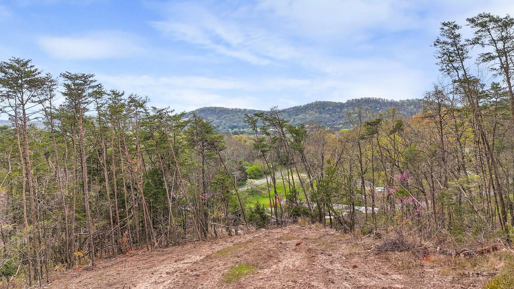 5 Acres of Land for Sale in New Market, Tennessee