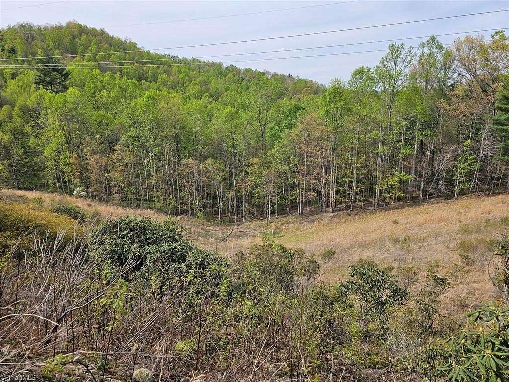 32.2 Acres of Recreational Land for Sale in Millers Creek, North Carolina
