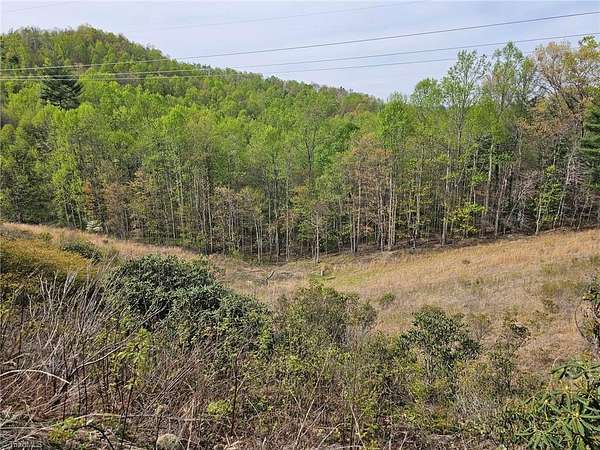 32.2 Acres of Recreational Land for Sale in Millers Creek, North Carolina
