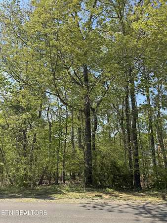 0.39 Acres of Residential Land for Sale in Vonore, Tennessee