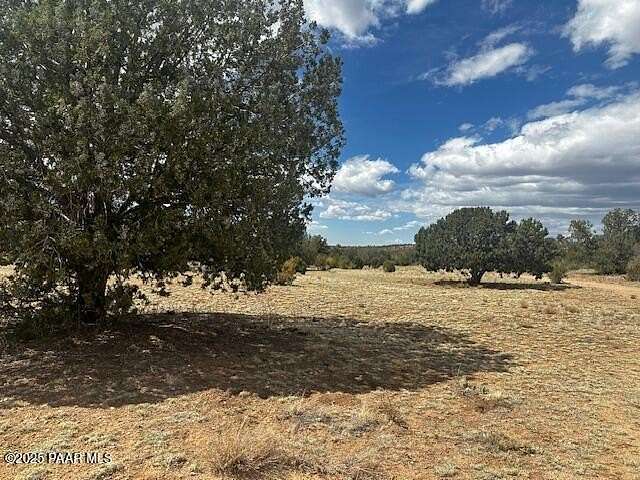 40 Acres of Recreational Land for Sale in Seligman, Arizona