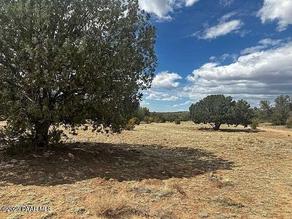 40 Acres of Recreational Land for Sale in Seligman, Arizona