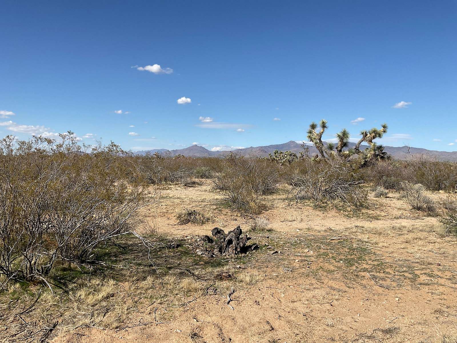 18.3 Acres of Recreational Land & Farm for Sale in Yucca, Arizona