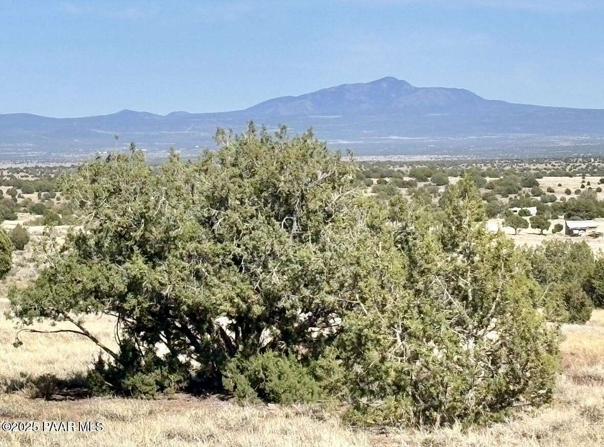 40 Acres of Recreational Land for Sale in Ash Fork, Arizona