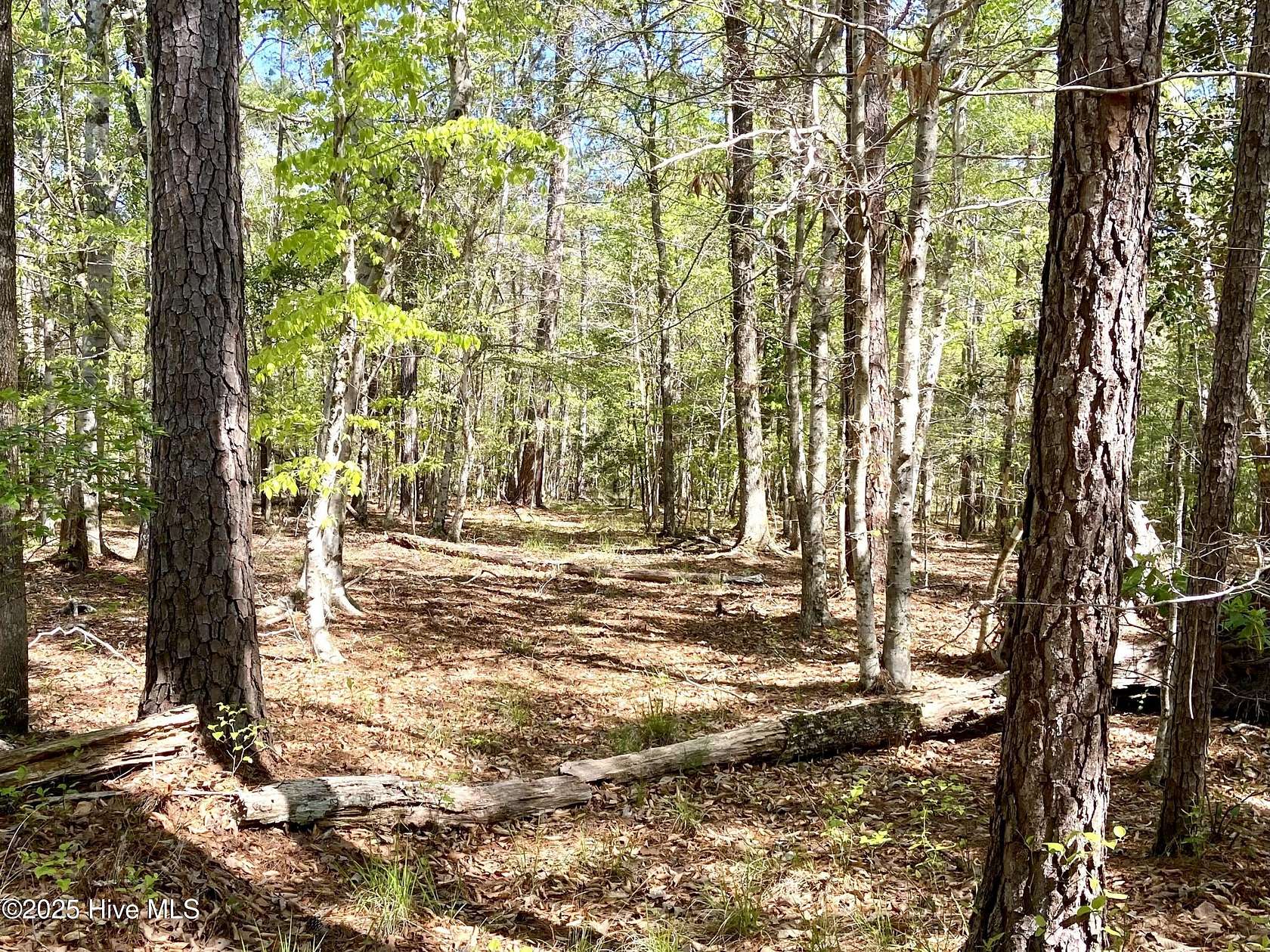14.8 Acres of Recreational Land for Sale in Beaufort Township, North Carolina