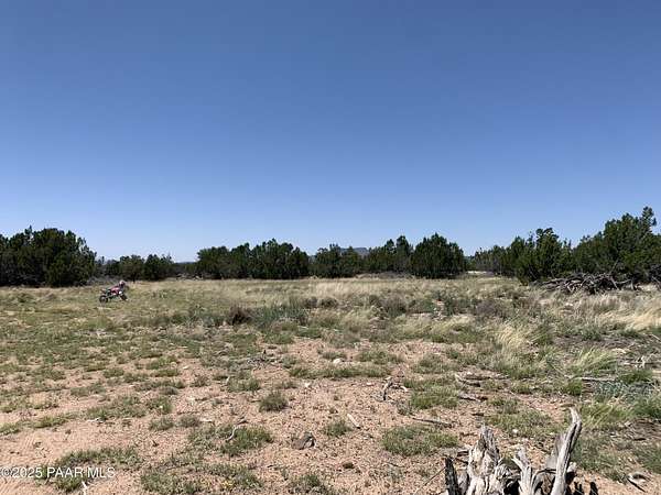36.8 Acres of Recreational & Residential Land for Sale in Seligman, Arizona