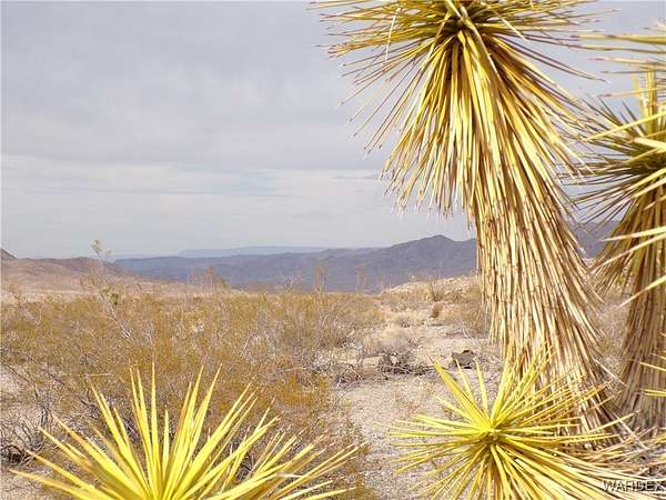 40 Acres of Recreational Land for Sale in Meadview, Arizona
