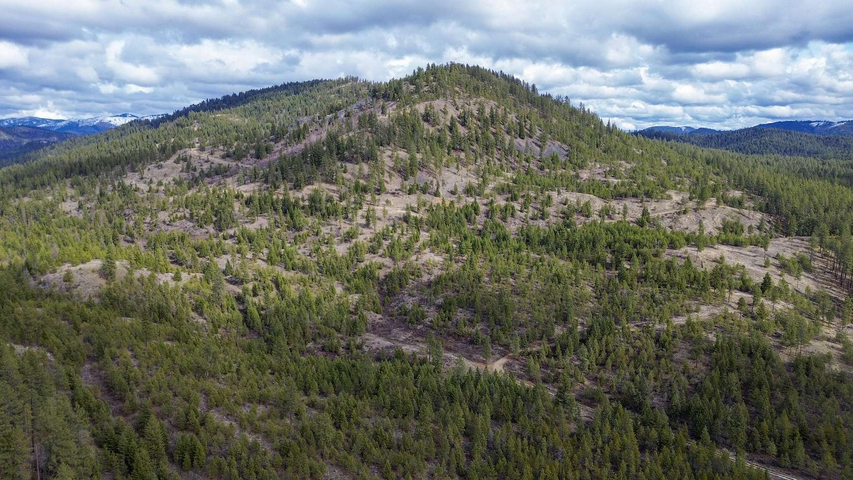 319 Acres of Recreational Land for Sale in Valley, Washington