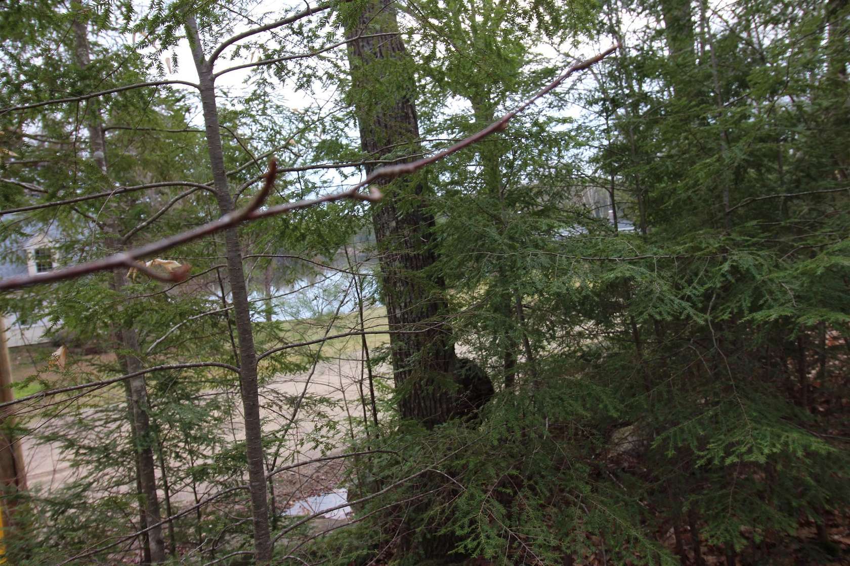 0.92 Acres of Residential Land for Sale in Milton, New Hampshire