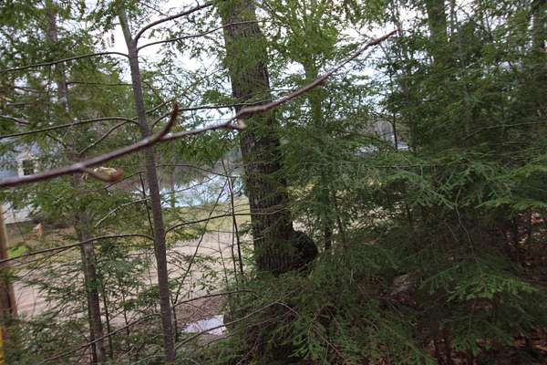 0.92 Acres of Residential Land for Sale in Milton, New Hampshire