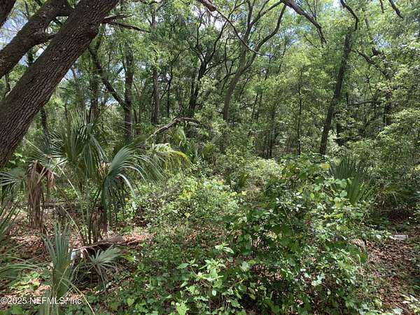 0.57 Acres of Land for Sale in Interlachen, Florida