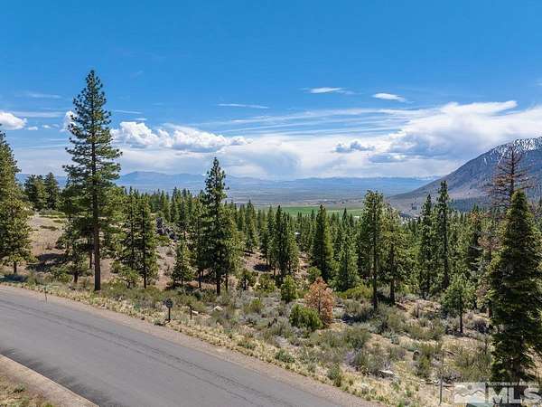 1.47 Acres of Residential Land for Sale in Carson City, Nevada