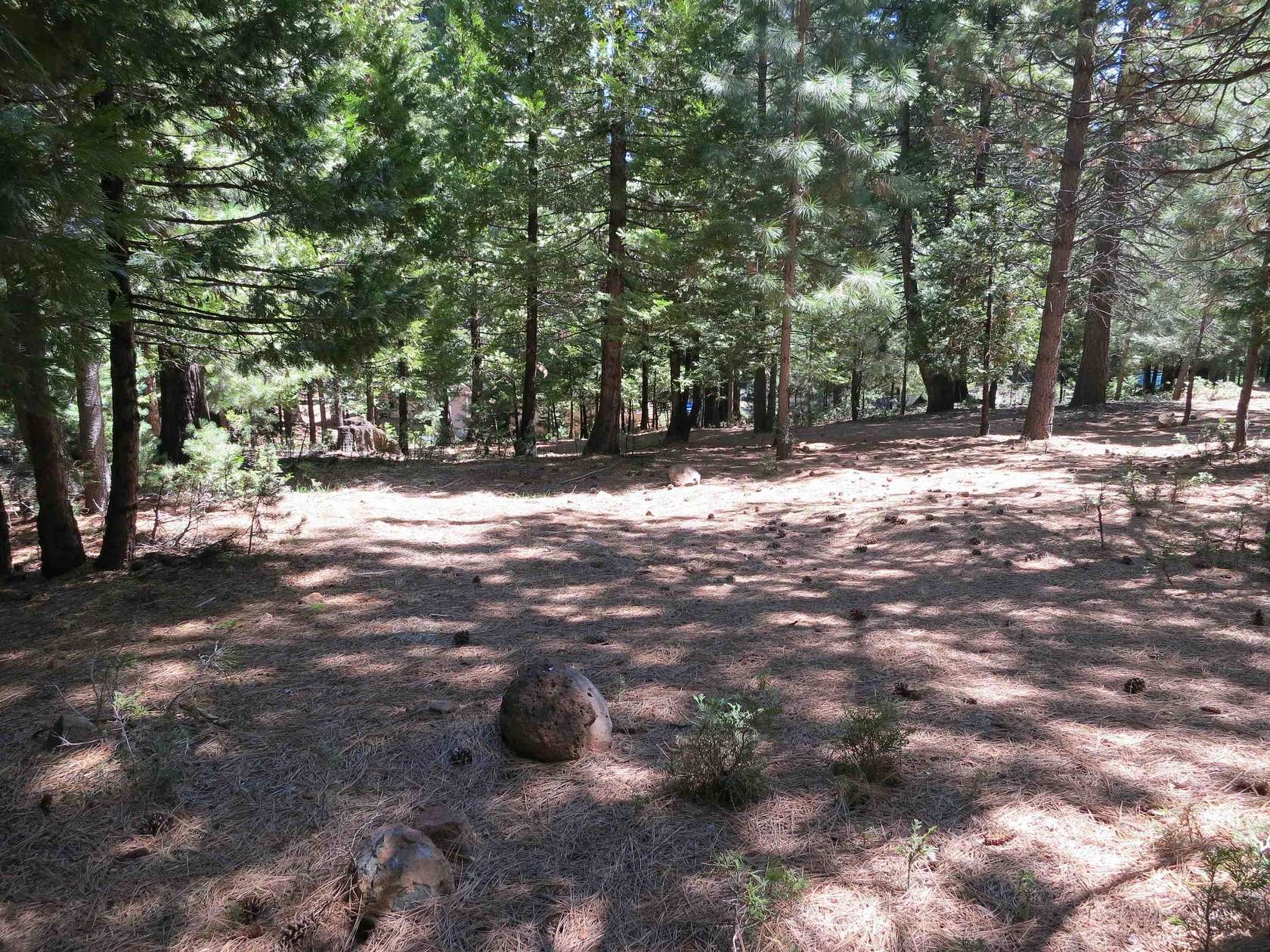 0.54 Acres of Land for Sale in Lake Almanor Country Club, California