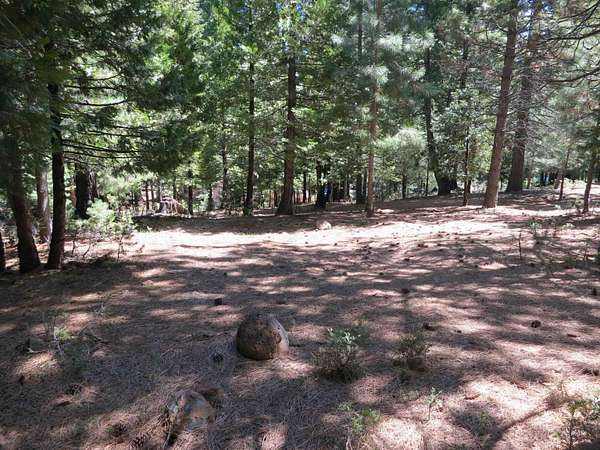 0.54 Acres of Residential Land for Sale in Lake Almanor Country Club, California