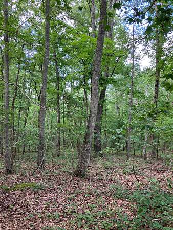 10 Acres of Recreational Land for Sale in Montevallo, Alabama